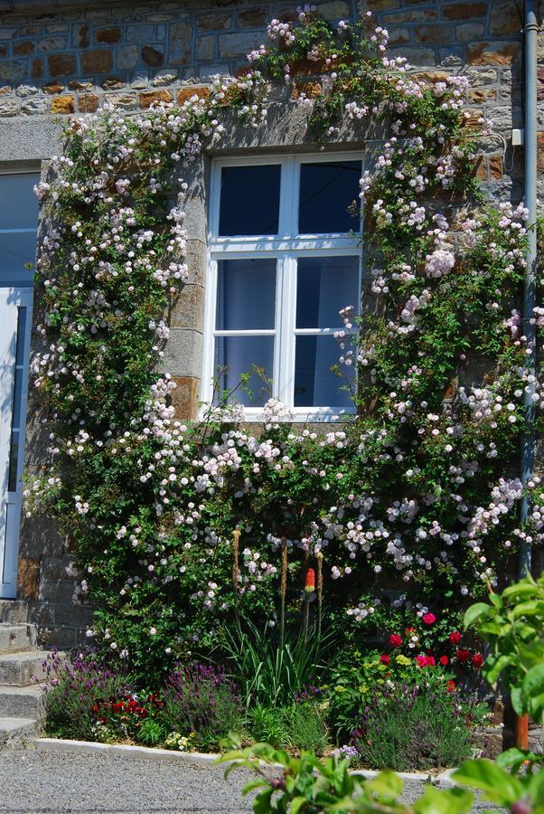 Maison Voie Verte Bion Exteriér fotografie
